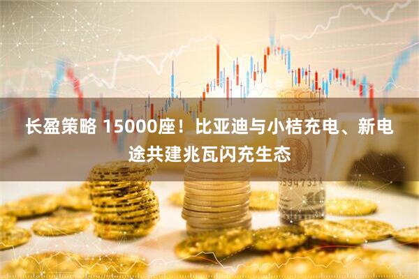 长盈策略 15000座！比亚迪与小桔充电、新电途共建兆瓦闪充生态