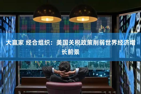 大赢家 经合组织：美国关税政策削弱世界经济增长前景