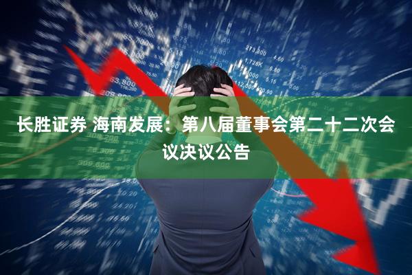 长胜证券 海南发展：第八届董事会第二十二次会议决议公告