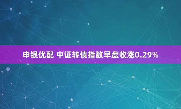申银优配 中证转债指数早盘收涨0.29%