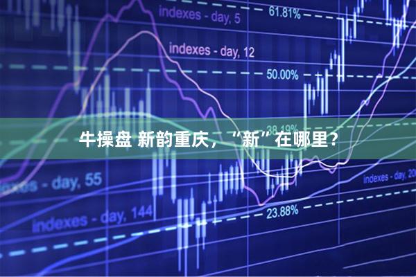 牛操盘 新韵重庆，“新”在哪里？