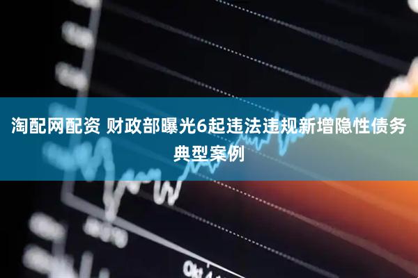淘配网配资 财政部曝光6起违法违规新增隐性债务典型案例