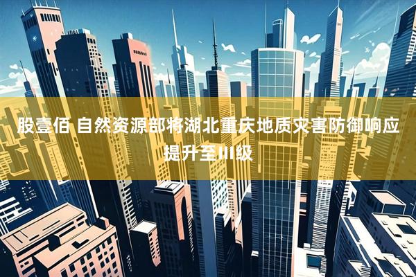 股壹佰 自然资源部将湖北重庆地质灾害防御响应提升至Ⅲ级