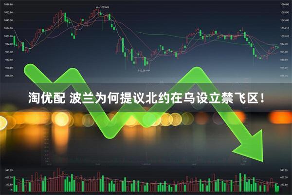 淘优配 波兰为何提议北约在乌设立禁飞区！