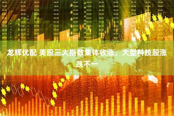 龙辉优配 美股三大指数集体收涨，大型科技股涨跌不一
