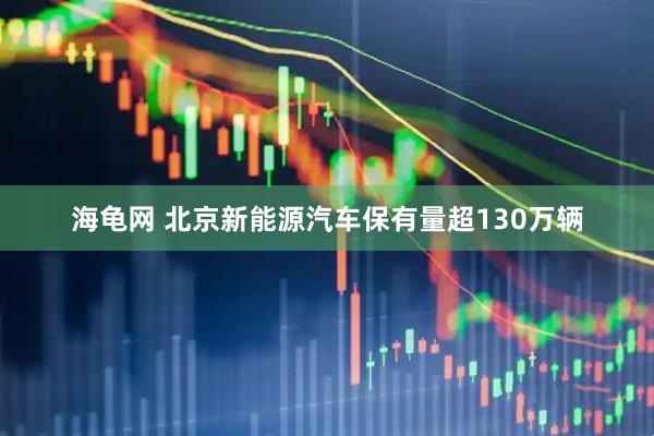 海龟网 北京新能源汽车保有量超130万辆