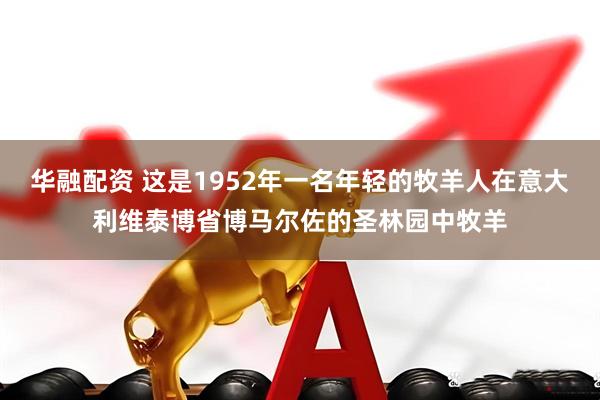 华融配资 这是1952年一名年轻的牧羊人在意大利维泰博省博马尔佐的圣林园中牧羊