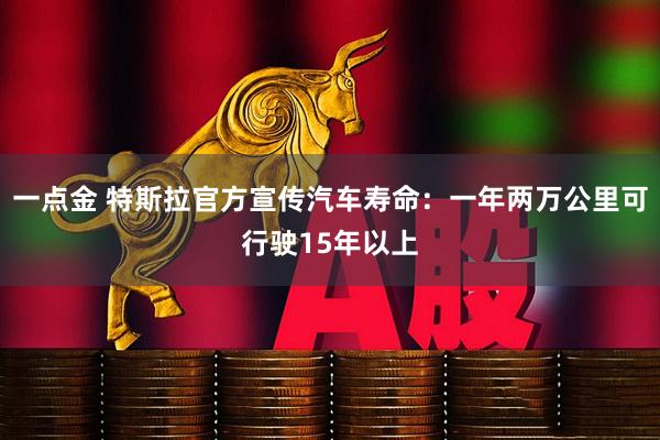 一点金 特斯拉官方宣传汽车寿命：一年两万公里可行驶15年以上
